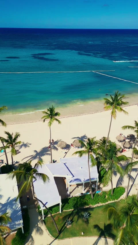 Fly-through the palm trees to a tropical tourist beach with an ocean view Stock Footage 309941403