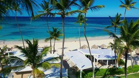 Fly-through the palm trees to a tropical tourist beach with an ocean view Stock Footage 311339912