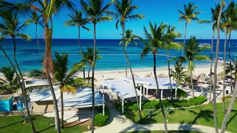 Fly-through the palm trees to a tropical tourist beach with an ocean view Stock Footage 311340097