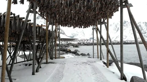 Fly through racks of drying stockfish in Reine, Lofoten, Norway Stock Footage 128807926