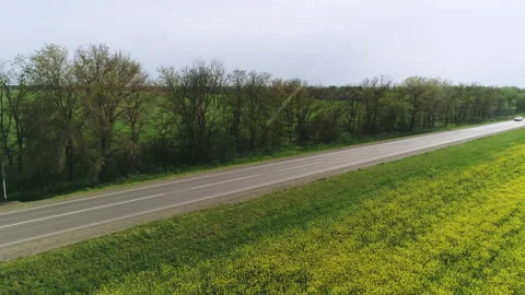 Fly through the rapeseed field to the road Stock Footage 152970130