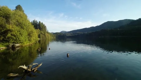 Fly through shot of a beautiful lake on a calm sunny day Stock-Footage 42948892