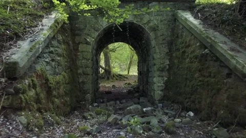 Fly Through Stone Arch in Forest in Ireland 4K 스톡 동영상 147189478