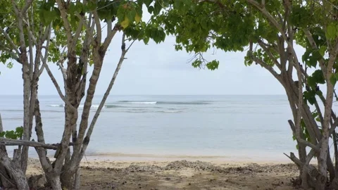 Fly through trees and over the Caribbean Sea Stock Footage 201388791