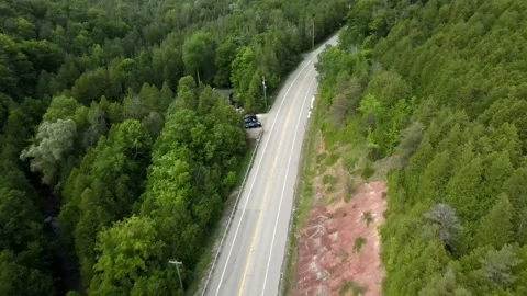 FLY THROUGH THE VALLEY TREES AND FORESTS BEAUTIFUL SUMMER DAY Stockbeeldmateriaal 133772655
