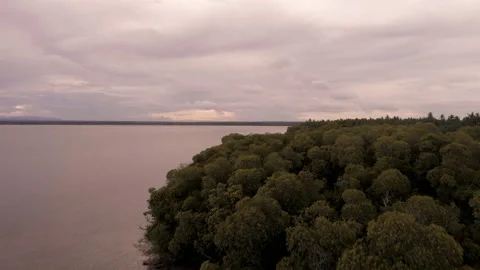 Fly Through Watamu Mangrove at sunset, Kenya Видео 132489708