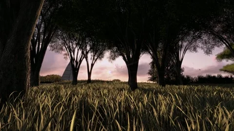 Fly Through To The Water Stock Footage 46758310