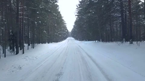 Fly through the woods in the forest Stock Footage 88323721