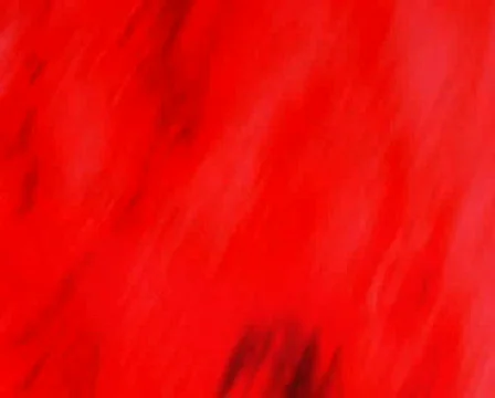 Fly throughway tree Stock Footage 636168