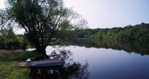 Fly by tree showing water Stock Footage 54710107