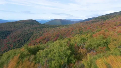 Fly By Trees in Mountains Fall 4k Video stock 168331213