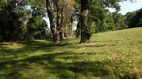 Fly by trees at a park beautiful summer day in toronto Stockbeeldmateriaal 135484665