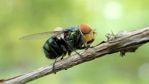 Fly turn around of body. Video stock 78756150