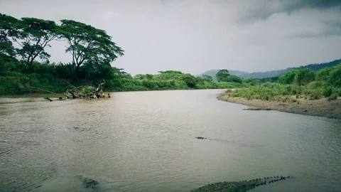 Fly Under a Bridge In Rio Tarcoles, Costa Rica - Wild Crocodiles - Wide Video stock 79447348
