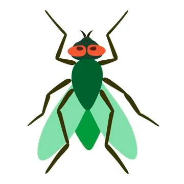 Fly vector illustration isolated on white background Stock Illustration