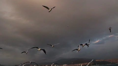 Fly  view sky Stock Footage 63278060