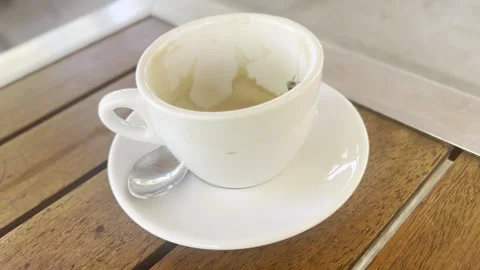 Fly Walking on Empty Coffee Cup After Drinking Coffee Outdoors Stock Footage 342029911