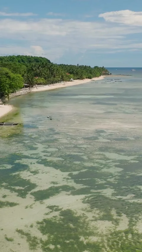 Fly on the wall of Coastline with a shiny white sand. Stock Footage 240157347