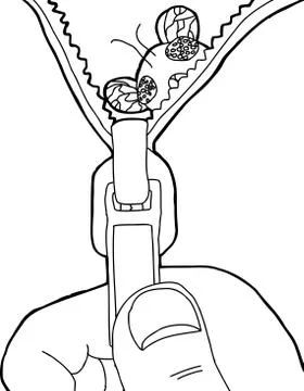 Fly In Zipper Stock Illustration