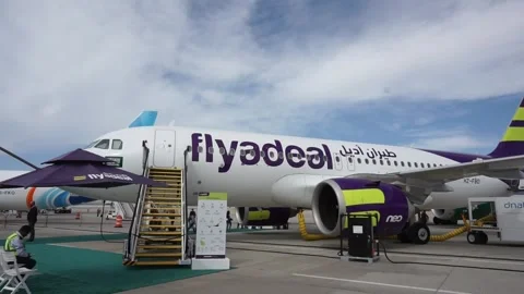 Flyadeal Boeing 737 MAX aircraft 스톡 동영상 341325166