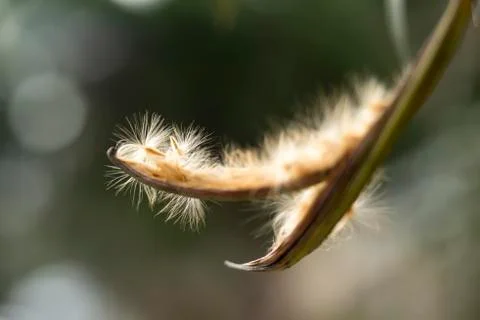 Flyaway02 Stock Photos