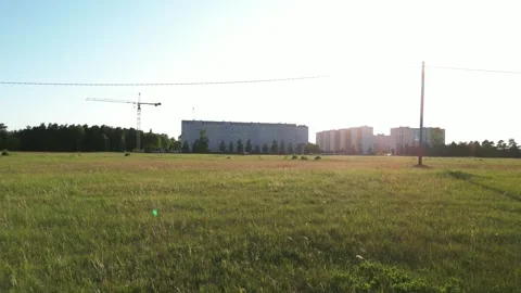 Flyby above the field in the evening Video stock 243417463