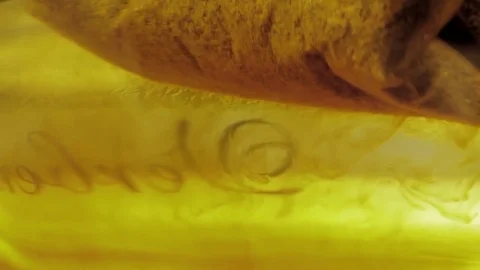 Flyby around brewing tea bag in hot water. Macro 動画素材 70218360