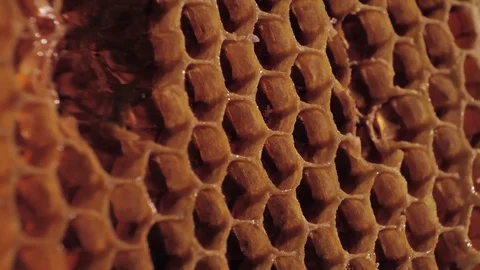 Flyby around honeycombs. Macro 動画素材 70217784