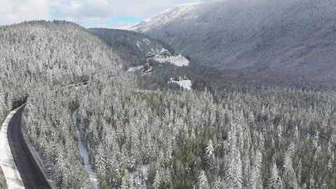 Flyby of highway in frozen mountain forest near Mt Hood in winter Stock Footage