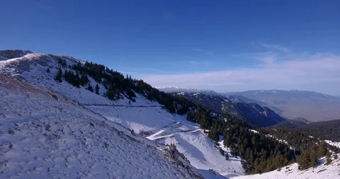 Flyby panoramic view of early snow on ski route and fir tree forest, ski resort Stock Footage 93486879