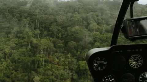 Flyby in the rainforest Stock Footage 52553424