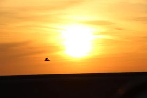 Flyby Sunset 库存照片