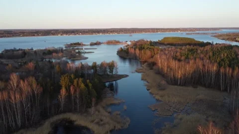 Flyby through Forest surrounded by River and Swamp Video stock 306312513