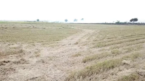 Flycam burning fields Stock-Footage 242836523