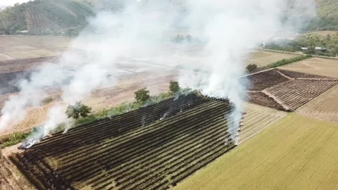 Flycam burning fields Stock-Footage 242836526