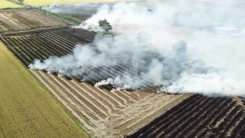 Flycam burning fields Stock-Footage 242836538