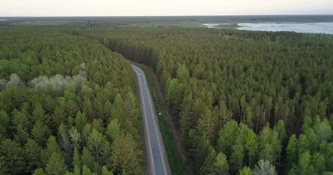 Flycam goes down to road close to car among evergreen forest 스톡 동영상 99434623