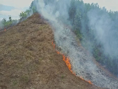 Flycam Moves along Flame Border of Burning Land Plot on Hill Stock Footage 80076507