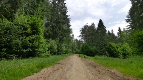 Flycam shot in the path in the woods. Stock-Footage 77589318