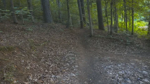 Flycam slowmo walking small worn path Stock Footage 90355194