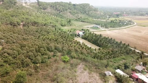Flycam vietnamese forest Stock-Footage 242836483
