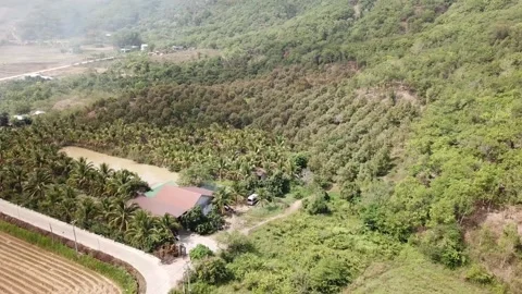 Flycam vietnamese forest Stock-Footage 242836511