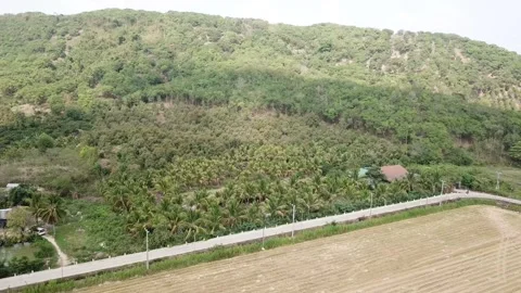 Flycam vietnamese forest Stock-Footage 242836525