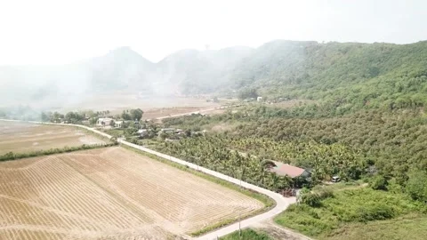 Flycam vietnamese forest Stock-Footage 242836578
