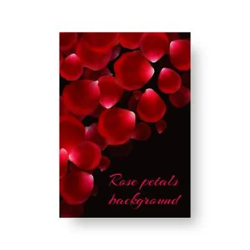 Flyer with rose petals Stock Illustration