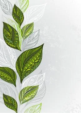 Flyer with tea leaves Stock Illustration