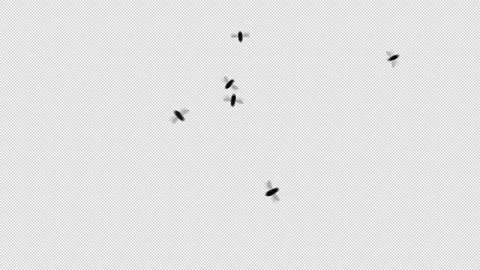 Flyes Flying VFX Element 3D Animation with Alpha Channel Transparency Stock Footage 302976439