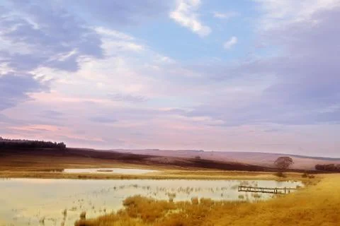 Flyfish #39 Stock Photos