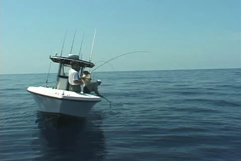 Flyfishing Stock Footage 20726540