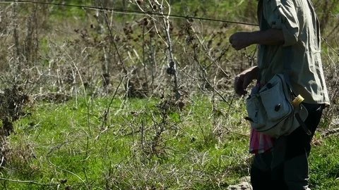 Flyfishing on River 2 Stock Footage 106705776